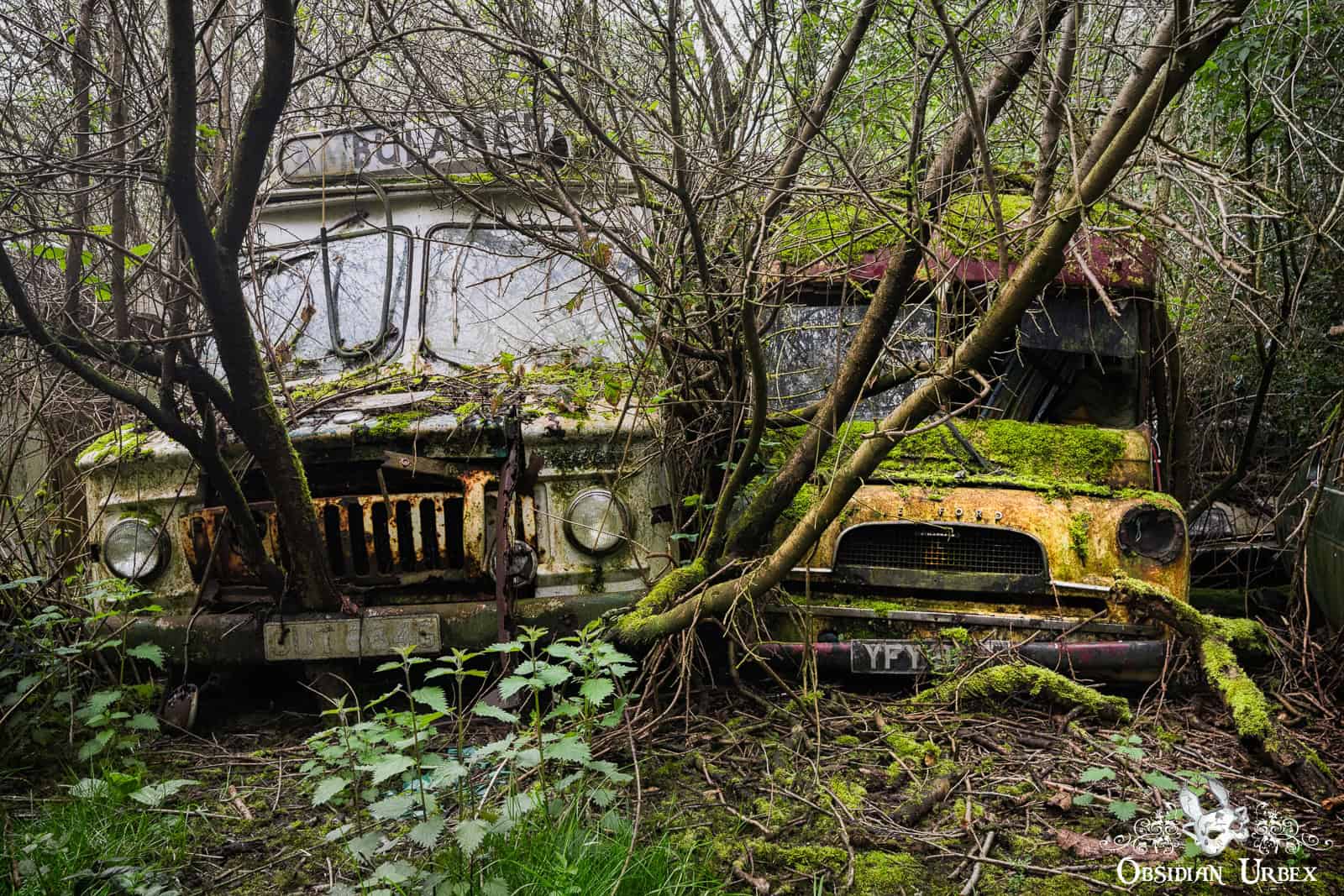 Photo d'un explorateur urbex découvrant des voitures abandonnées dans un lieu secret.
